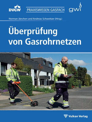 cover image of Überprüfung von Gasrohrnetzen